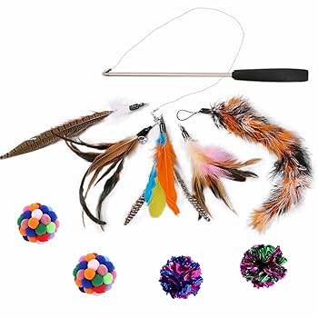 Amazon | 猫 じゃらし10点セット 猫用おもちゃ 釣り竿 羽根 鈴